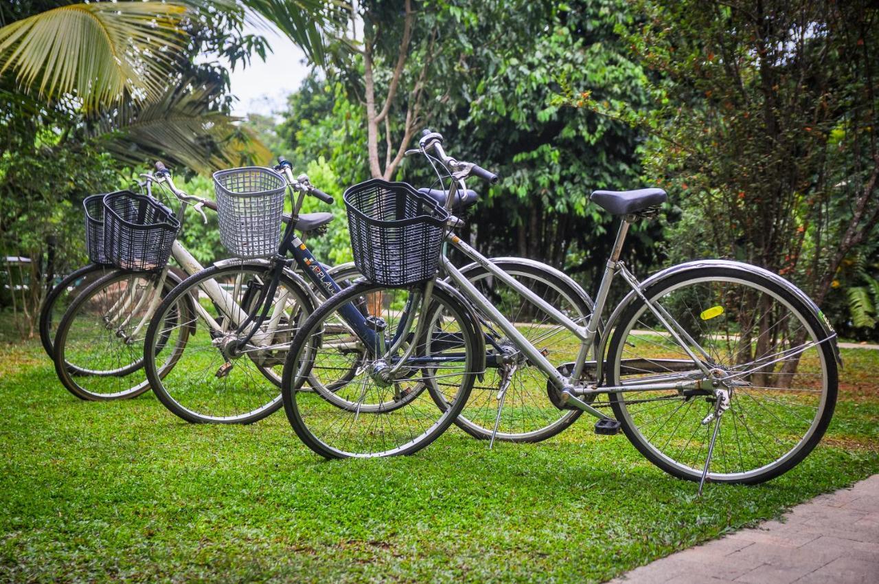Garcinia Leaf Hotel Hikkaduwa Buitenkant foto